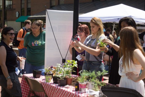 Herd goes Greener