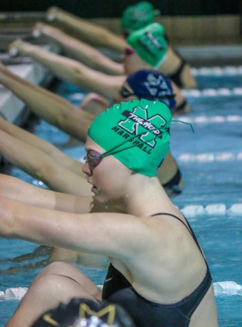 Herd swimming and diving breaks records