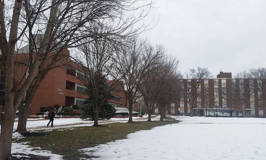 The ash trees that line the sidewalk outside the Science Building will be replaced due to an outbreak of disease caused by an emerald ash borer infestation.
Students may take an online survey to determine what trees will take their place.