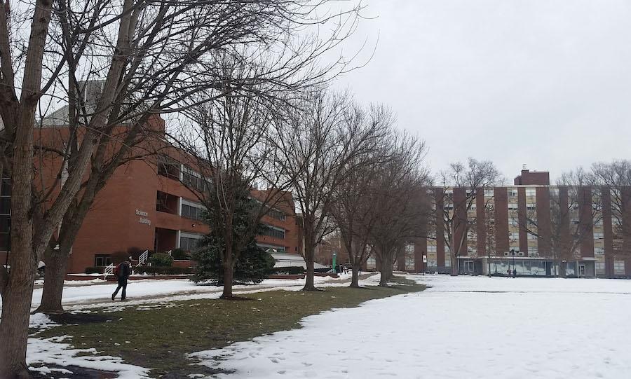 Marshall to replace diseased trees along Buskirk field - The Parthenon