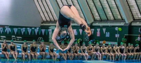 Herd swimming and diving breaks records
