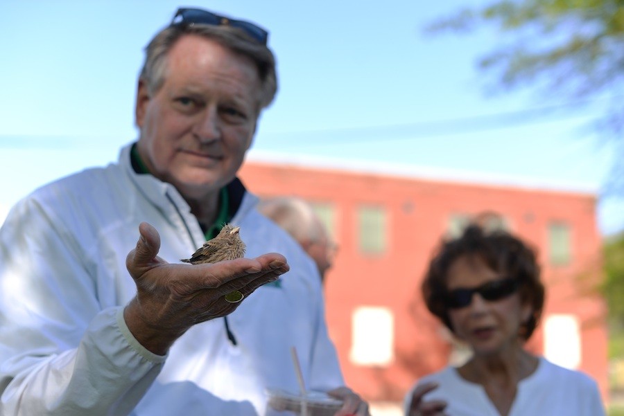 Huntington Mayor Steve Williams rescues a baby bird from the street during the inaugural installment of the Walk with the Mayor series Tuesday in the Westmoreland Neighborhood. 