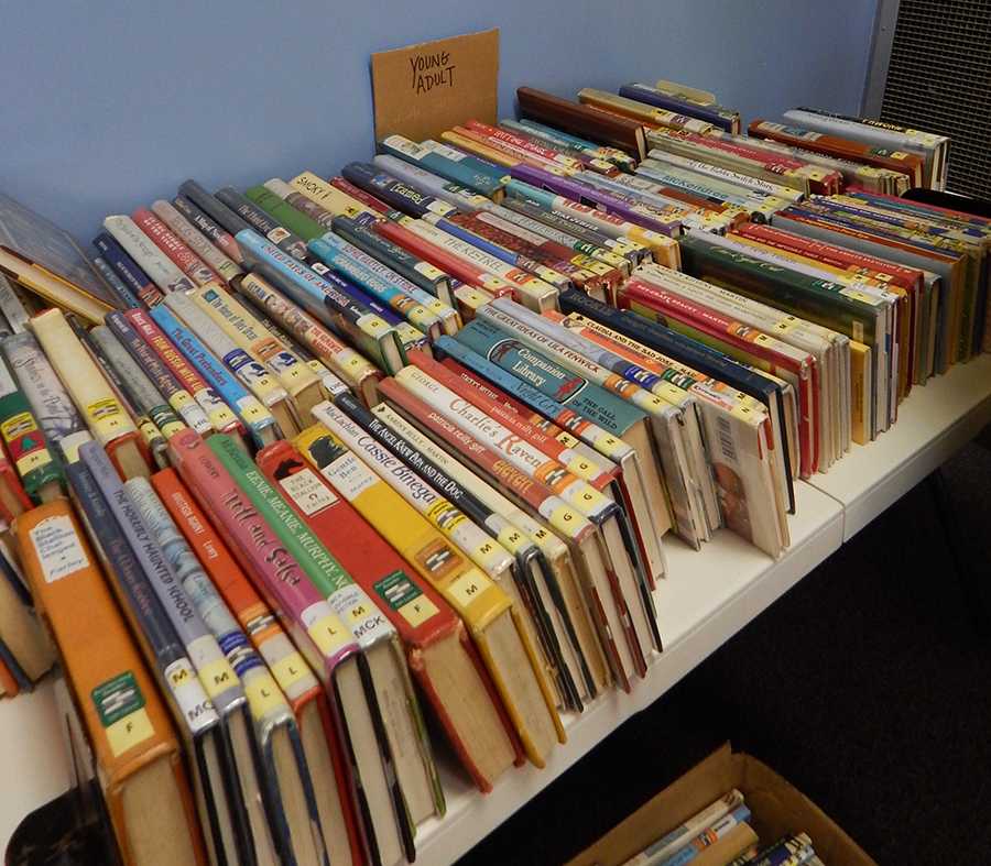 Barboursville library raises funds with a used book sale - The Parthenon