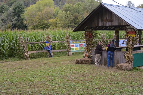 Milton corn maze celebrates 15 years