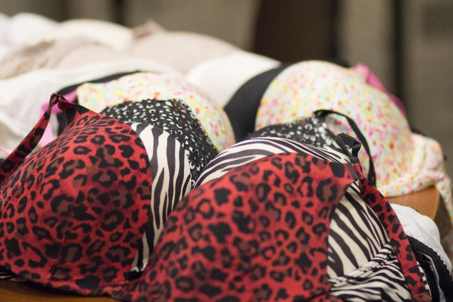 Bras+donated+to+the+Free+The+Girls+bra+drive%2C+February+4%2C+2016.