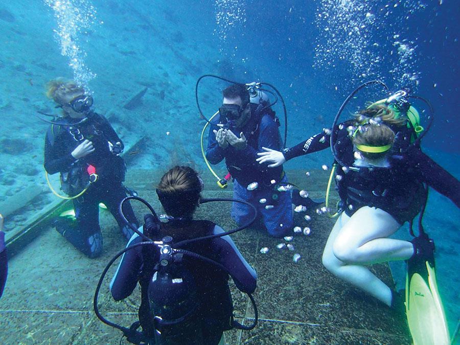 Scuba Club makes waves in Florida – The Parthenon