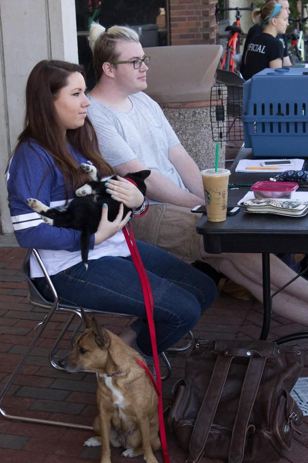 Fraternity members Matthew Adkins and Emily Doane help host SIgma Alpha Epsilons Rent-A-Puppy booth at the Memorial Student Center, March 30, 2016.