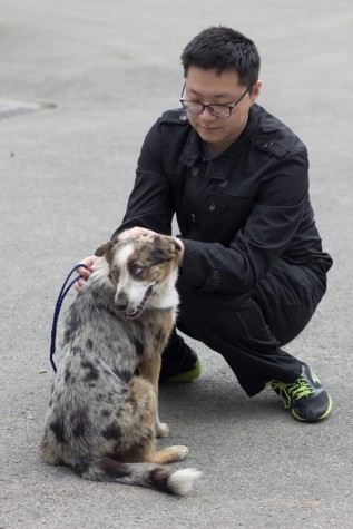 INTO Helping Animals aids students in learning English