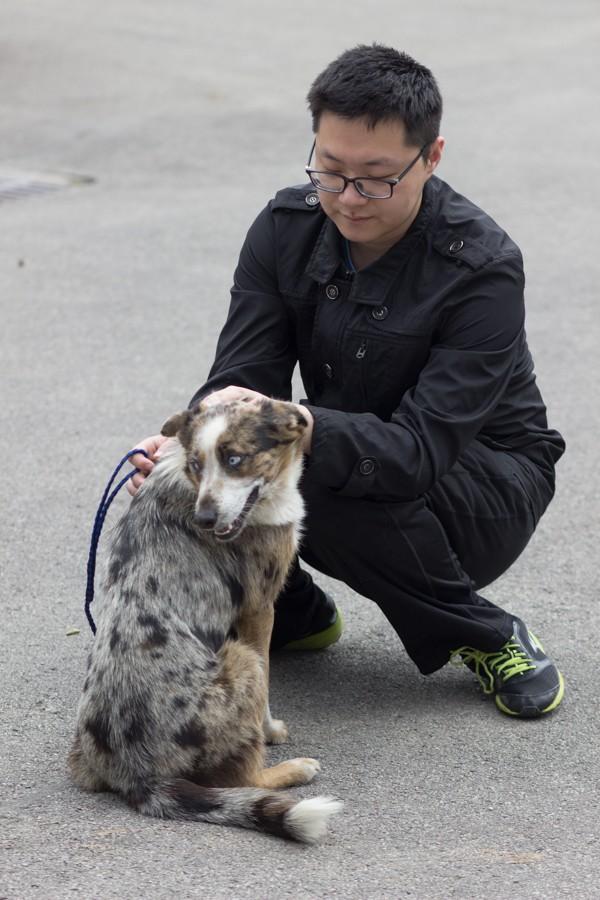 INTO student Bob gives a dog a chance to stretch their legs outside the Huntington Cabell Wayne Animal Control Shelter, April 11, 2016.