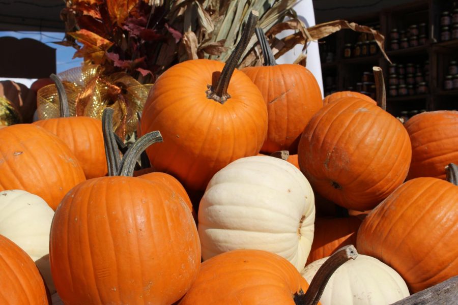 Pumpkin+Festival+welcomes+fall+to+West+Virginia
