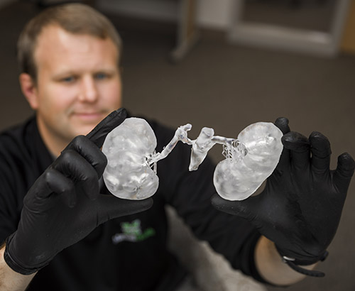 Matthew Crutchfield, senior graphic designer for the School of Medicine, shows a cured 3-D print of a set of kidneys.