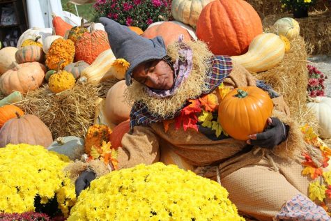 32nd annual Pumpkin Festival returns to Milton Oct. 4