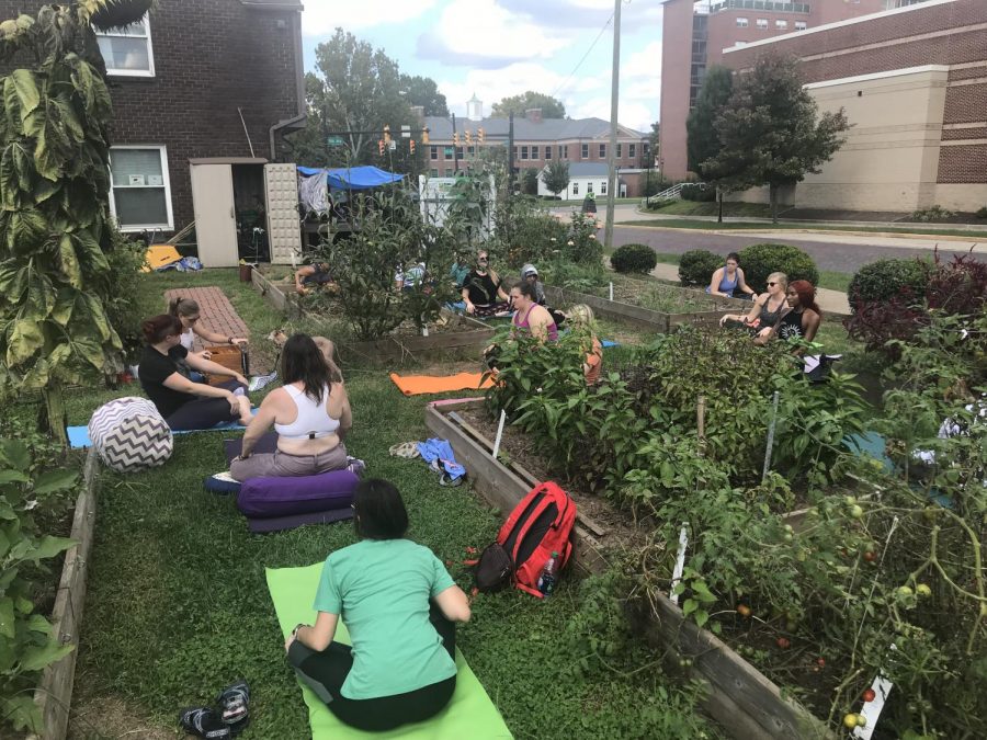 Yoga in the Sustainability Garden connects students in nature