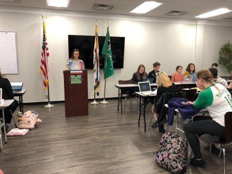 Student Senate approves judicial branch, decision goes to students