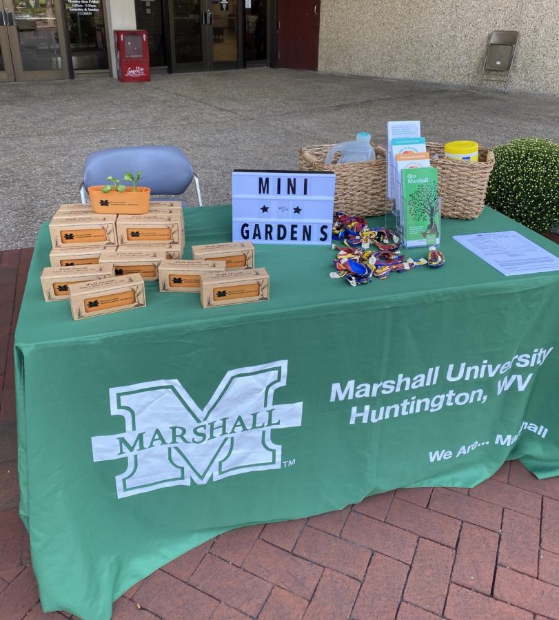 Marshall Students, Faculty Celebrate World Mental Health Day