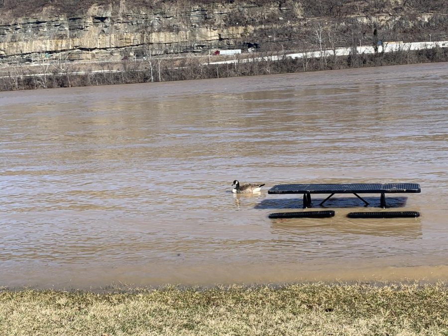 Flood waters rose covering tables and other seating at Ashland’s riverfront. 