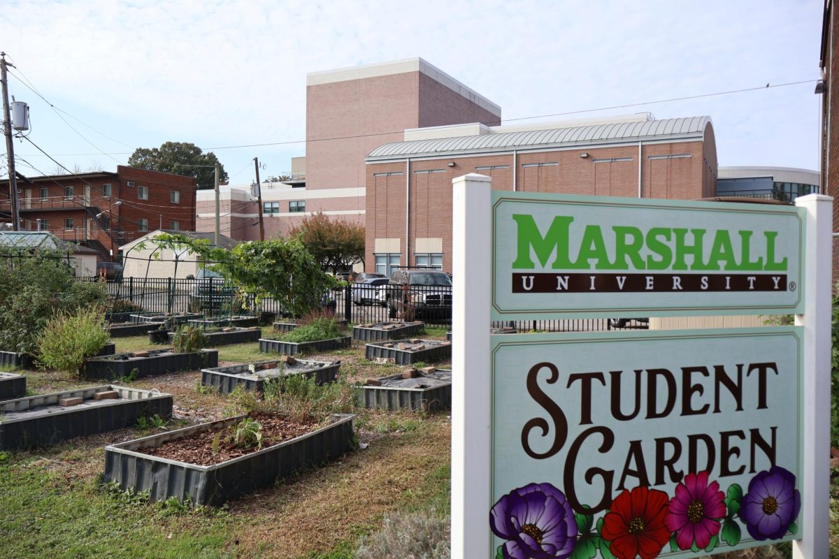 Student Garden prepares for end of the growing season