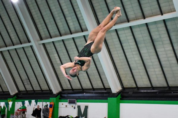 GALLERY: Swim and Dive vs. Georgia Southern