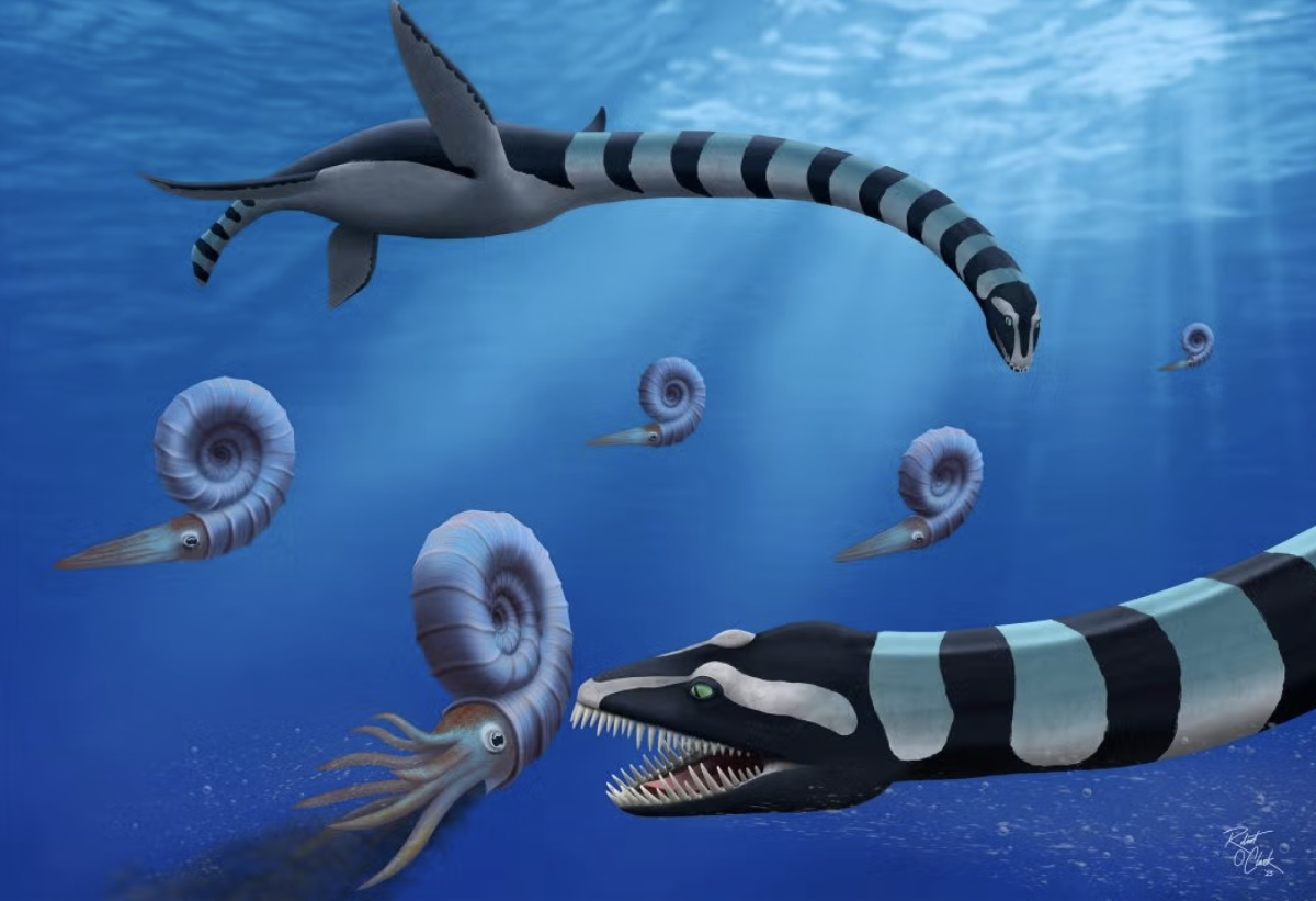 The Traskasaura is unique in its genus, having both primitive and advanced features. (Courtesy of Robin O’Keefe)