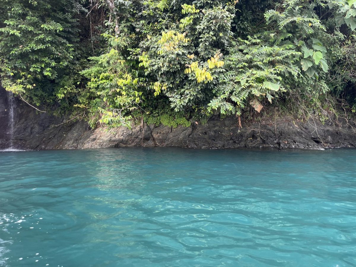 Alaina Jewell said the oceans off the Osa Peninsula offered scenic views and whale sightings for those out boating. (Courtesy of Alaina Jewell)