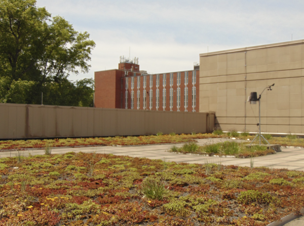The Marshall University student gardens are located on the rooftops of the Science and Engineering Buildings and behind the Office of Career Education. 